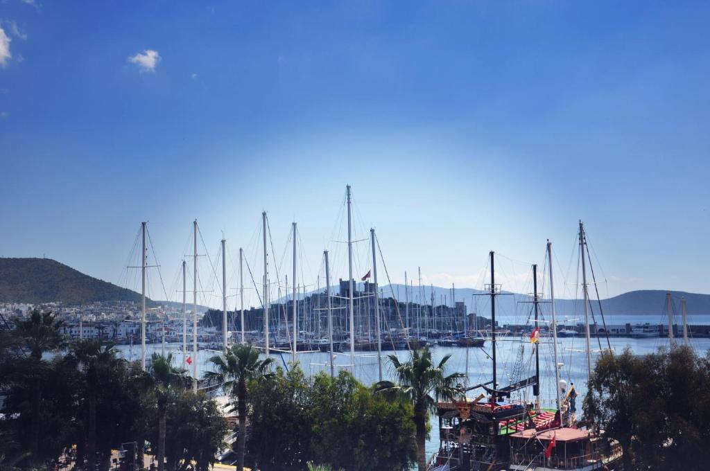 בודרום Akkan Hotel Marina (Adults Only) מראה חיצוני תמונה